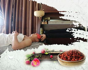 中國養(yǎng)生保健網(wǎng) 打造一站式養(yǎng)生保健服務與用品行業(yè)門戶