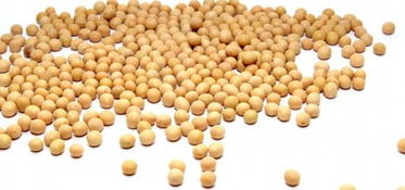 燕麥堅(jiān)果酸奶等14種超級食物 日常養(yǎng)生保健，助您少得病、更長壽